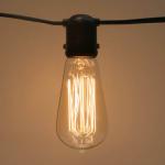 Edison vintage  bulb