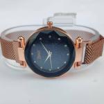 Women Stainless Steel Classic Wrist Watch