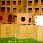 Natural Mini Air Cooler